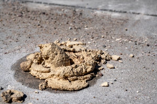 Cost of Driveway Slab Leveling in Kalamazoo
